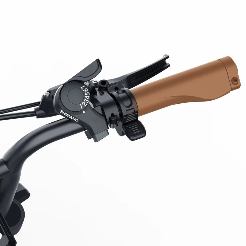 Coswheel CT20 Fat Tyre E-Bike