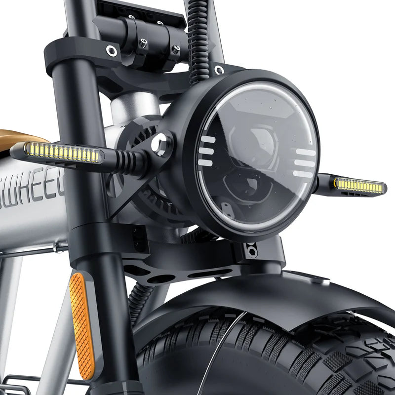 Coswheel CT20 Fat Tyre E-Bike