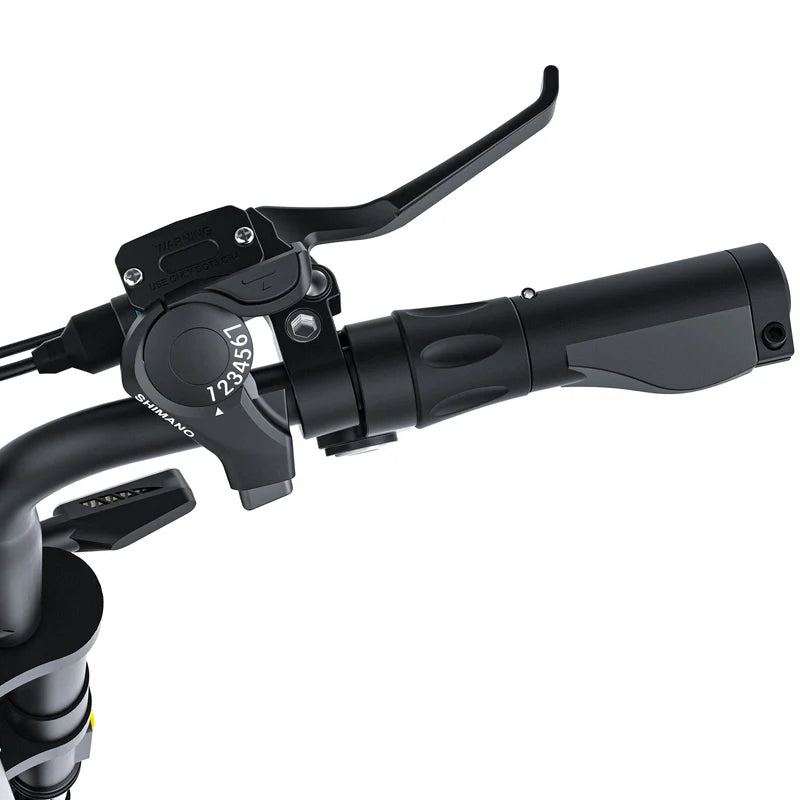 Coswheel CT20S Fat Tyre E-Bike