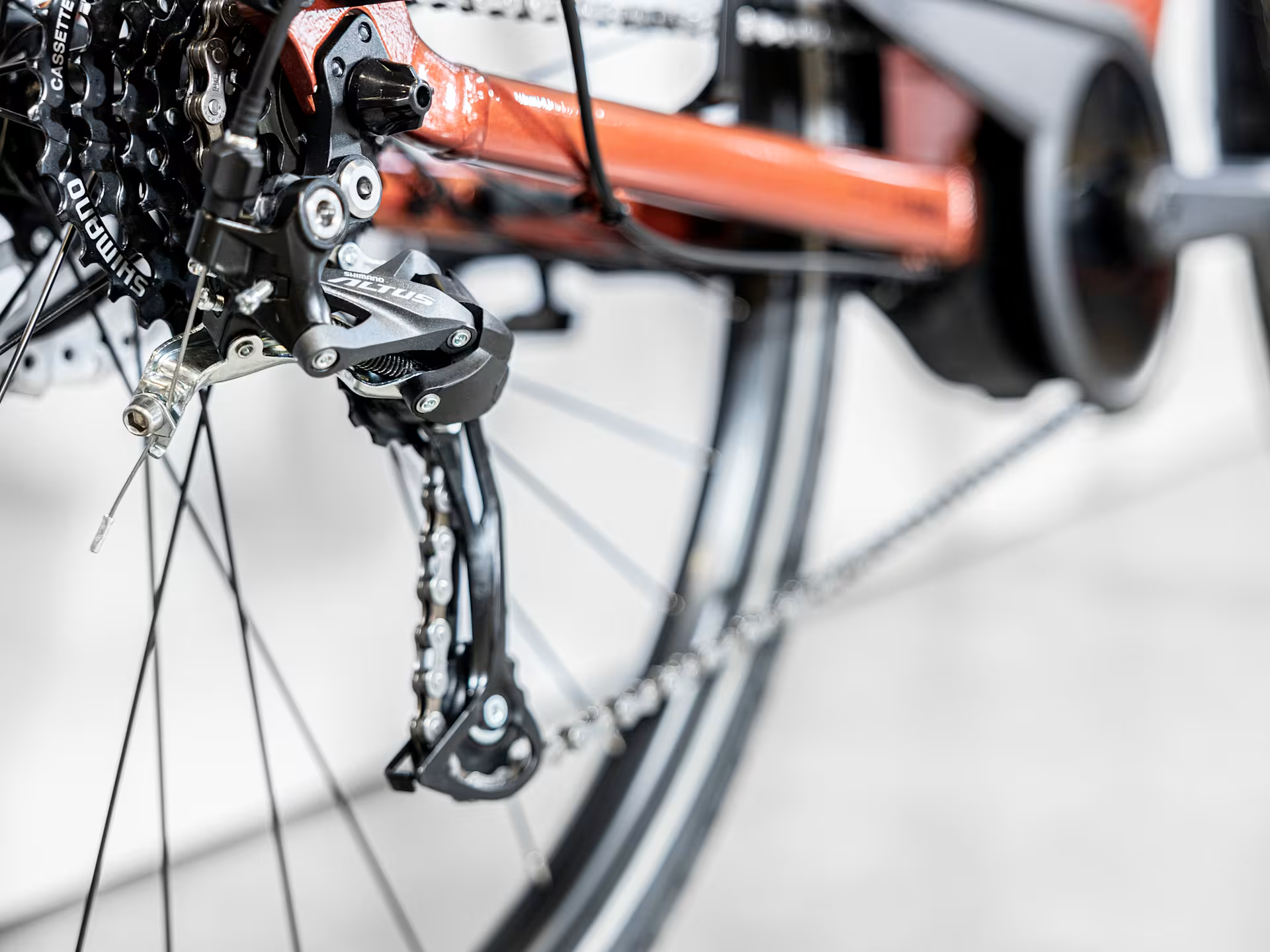 Trek Verve+ 1 Lowstep