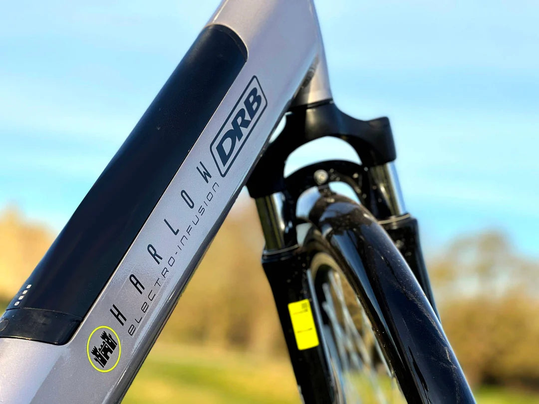 Dallingridge Harlow Step-Through Hybrid Electric Bike 250W – Silver