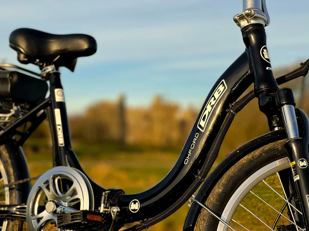 Dallingridge Oxford Folding Electric Bike – Black