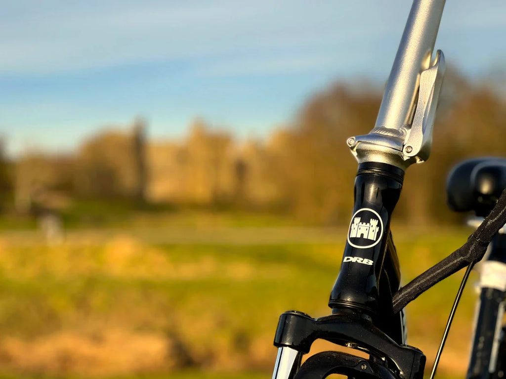 Dallingridge Oxford Folding Electric Bike – Black